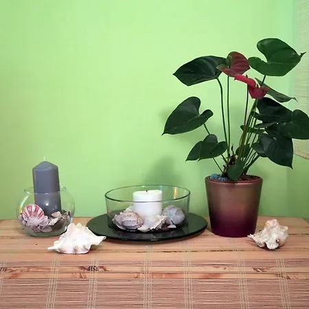Apartment Vera